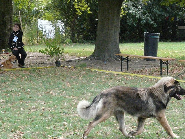img 172.jpg